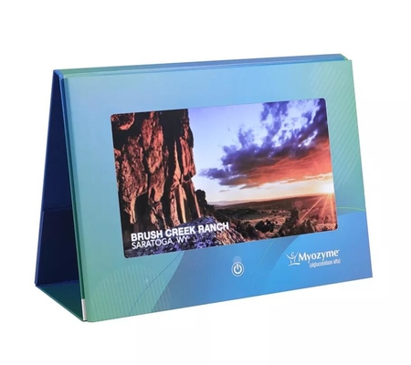 in store LCD advertising display, point of purchase POS video display with 10 inch high resolution screen