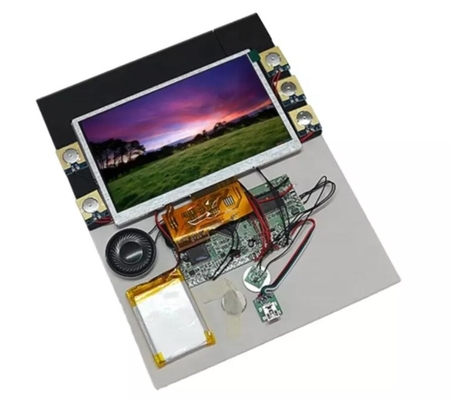 10 inch LCD screen display assembly module kit for POS/POP video display use with battery and button controls