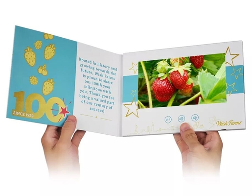 4.3/5/7/10.1 inch LCD video brochure card, LCD video marketing mailers for promotion